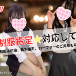 休日は推しのいつもと違う制服姿を拝もう!千葉派遣リフレ