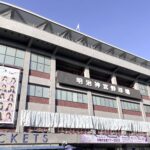 素敵な夏の思い出🌻