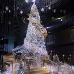 きほです🐈‍⬛️🩵