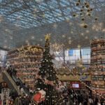 きほです🐈⬛🩵