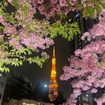 きほです🐈&zwj;⬛🩵