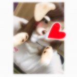🐶ひさなです🐶