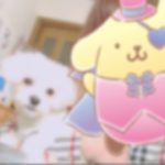 ありかです‪⸜(*ˊᵕˋ*)⸝‬💕✨