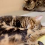 みなとです☺️