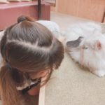 あやせです( -᷅ &middot;̫ -᷄ )